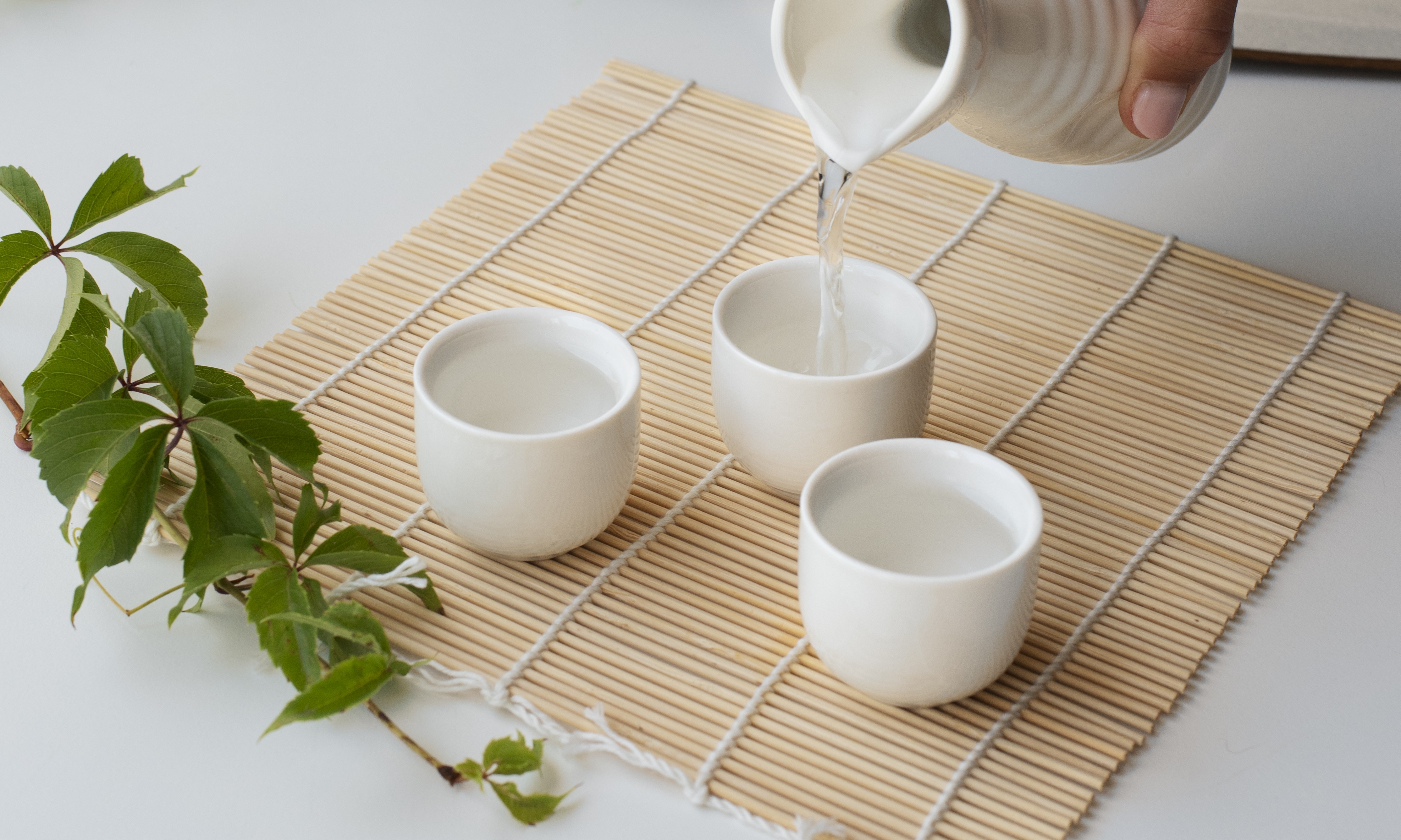 正社員 営業 オフィス求人イメージ