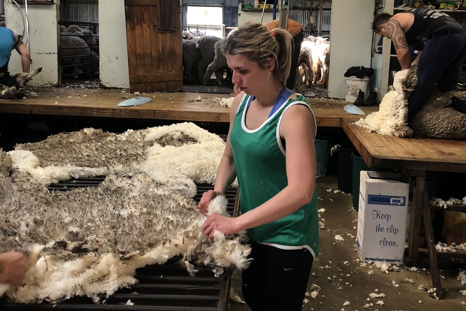 名川繊商株式会社 東京オフィス/グローバル営業の正社員 その他 オフィスの求人情報イメージ2