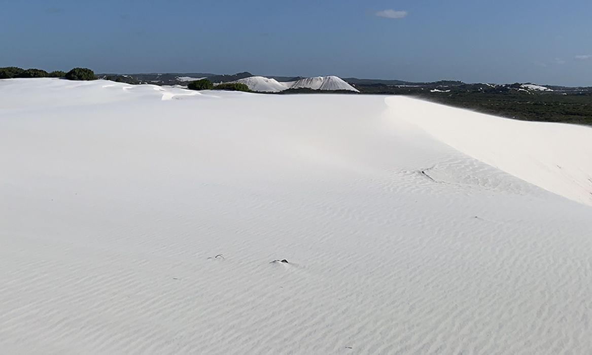 正社員 法人営業 オフィス求人イメージ