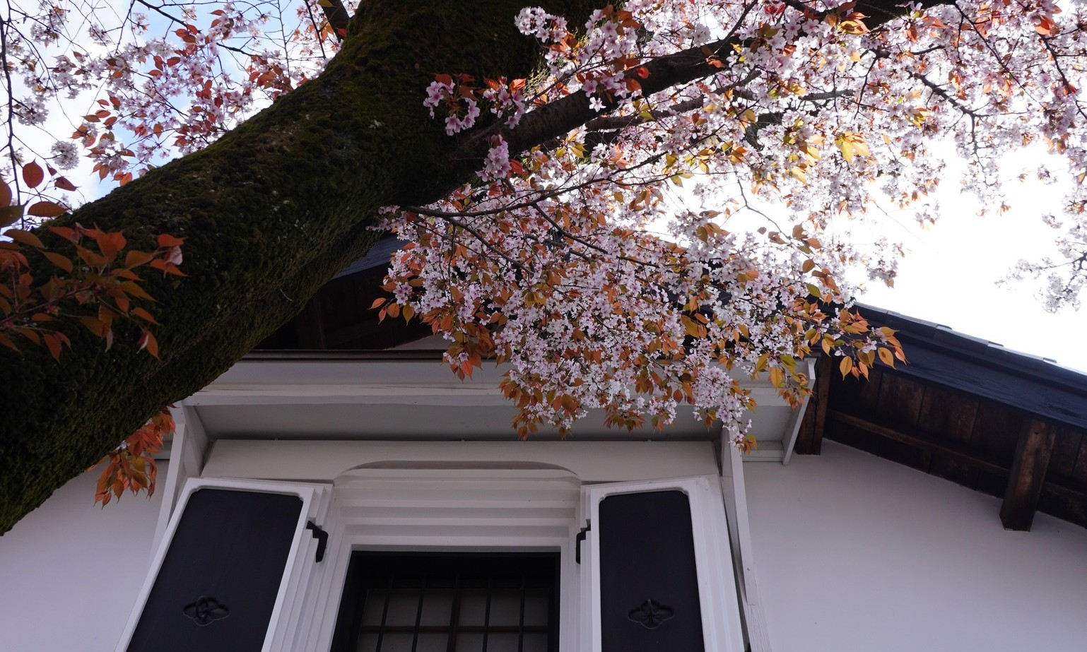 正社員 店長・マネージャー候補（飲食） 店長・マネージャー候補（小売） 店舗の求人情報イメージ3