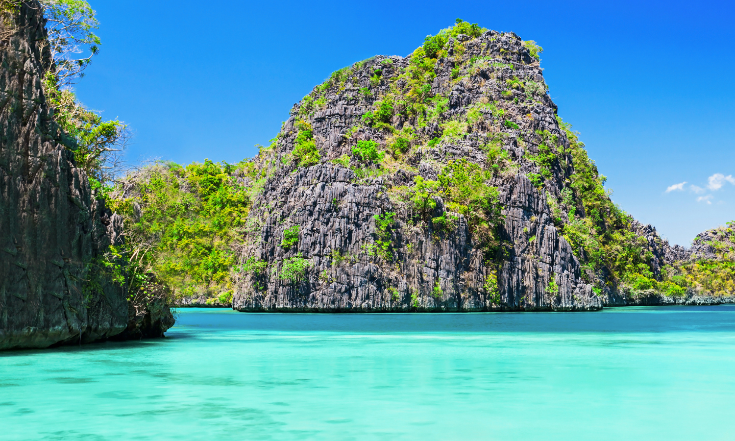 現地採用（海外） その他（PM・PMOなど） オフィスの求人情報イメージ2