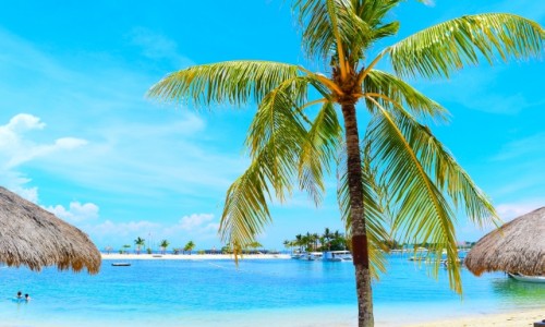 現地採用（海外） その他（教育系） ブランディング・広報PR Webマーケター・広告 プランナー（マーケティング） コンテンツ制作（動画・ライター・SNS） オフィス求人イメージ