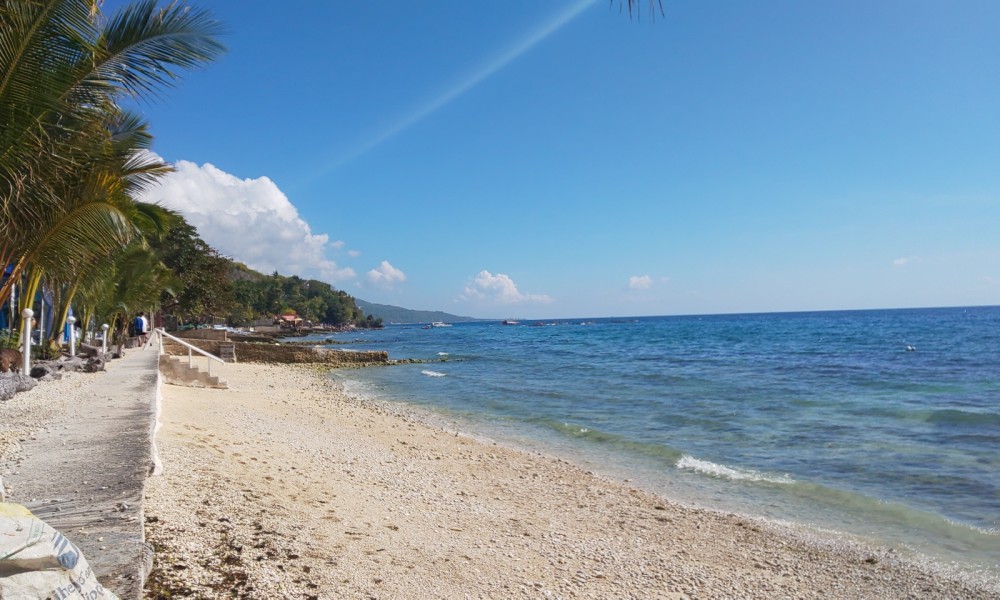 現地採用（海外） 講師・インストラクター 教室長（スクールマネージャー） その他（教育系） 経営企画・事業企画・業務企画 教室 オフィスの求人情報イメージ2