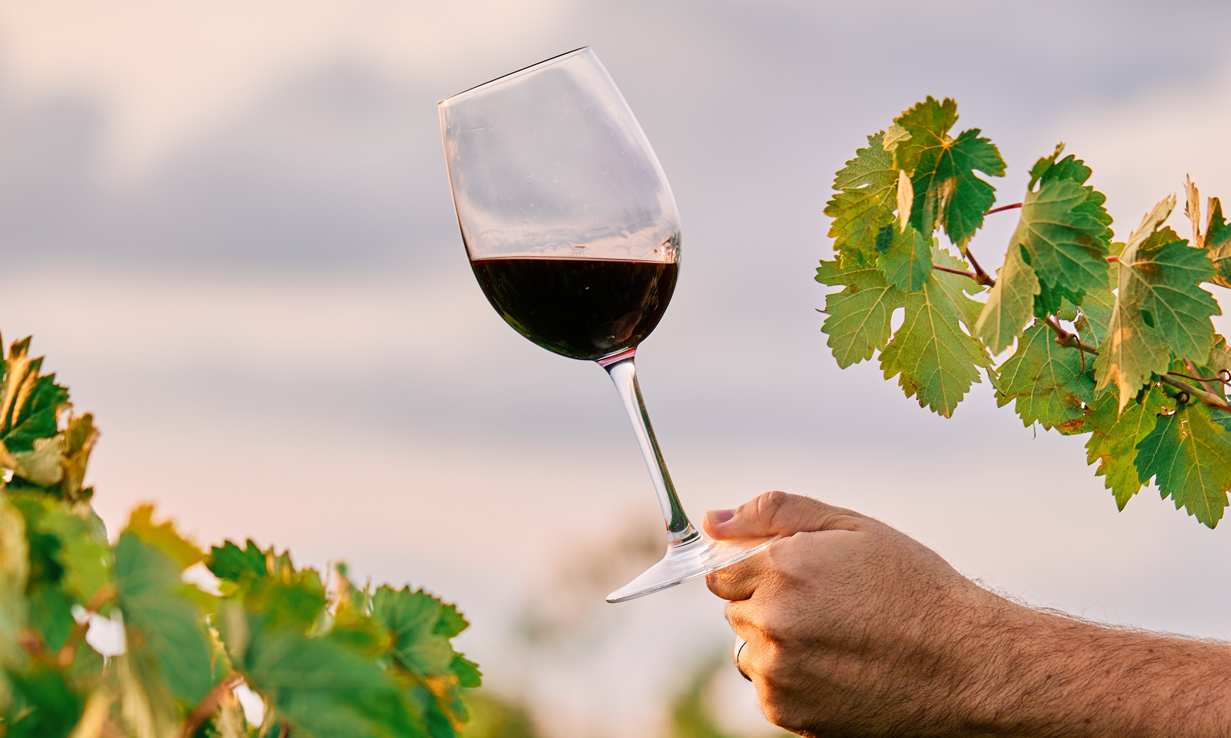 正社員 営業 オフィス求人イメージ