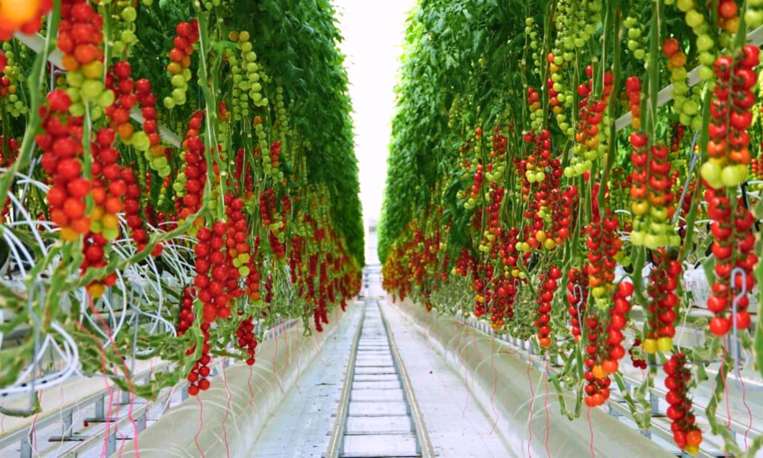 アルバイト その他の求人情報イメージ4