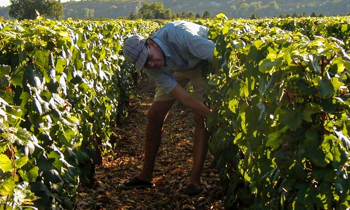 正社員 管理・事務 オフィスの求人情報イメージ4