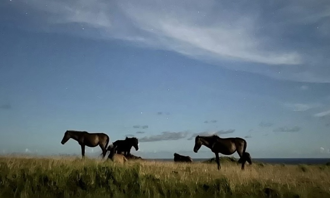 アルバイト ホテルスタッフ キッチンスタッフ 接客 その他の求人情報イメージ4