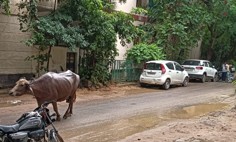 正社員 営業 オフィス求人イメージ