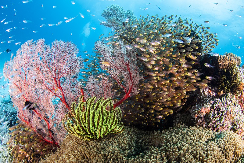 正社員 マーケティング カスタマーサクセス・カスタマーサービス 管理・事務 オフィスの求人情報イメージ4