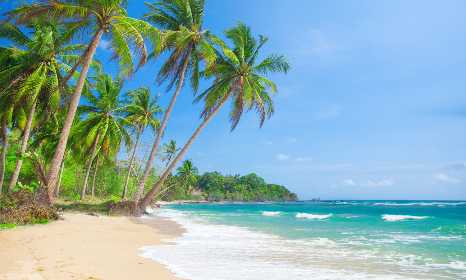 現地採用（海外） 技術系（その他） その他の求人情報イメージ4