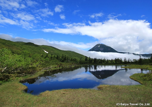 株式会社西遊旅行 ／知床半島ゲストハウスの運営の正社員 ホテルスタッフ 接客 宿泊の求人情報イメージ12