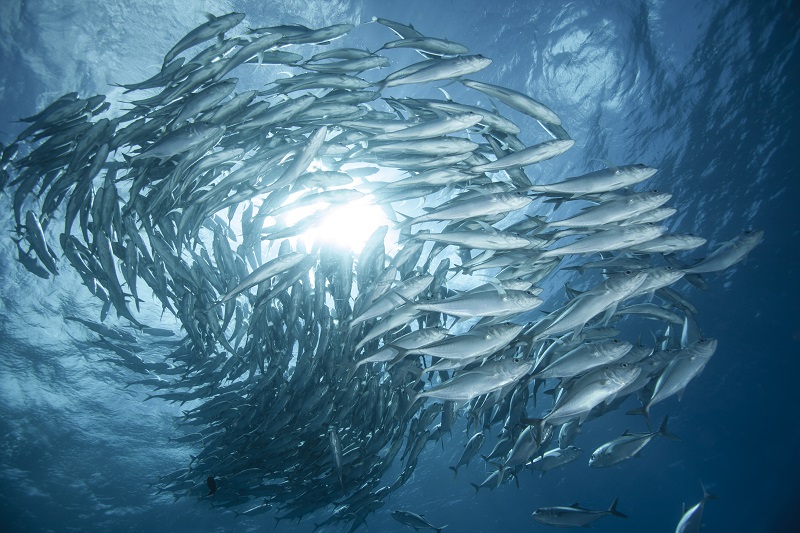 正社員 マーケティング カスタマーサクセス・カスタマーサービス 管理・事務 オフィスの求人情報イメージ5