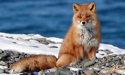 株式会社西遊旅行 ／知床半島ゲストハウスの運営の正社員 ホテルスタッフ 接客 宿泊の求人情報イメージ14